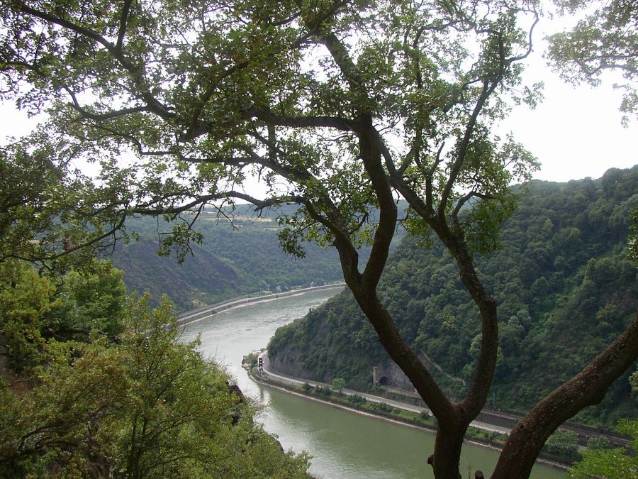 Blick von der Loreley auf den Rhein (1)