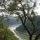 Blick von der Loreley auf den Rhein (1)