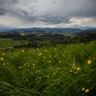 Blick von der Lueg im Emmental