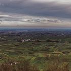 Blick von der Madenburg