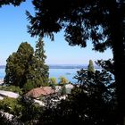 Blick von der Mainau