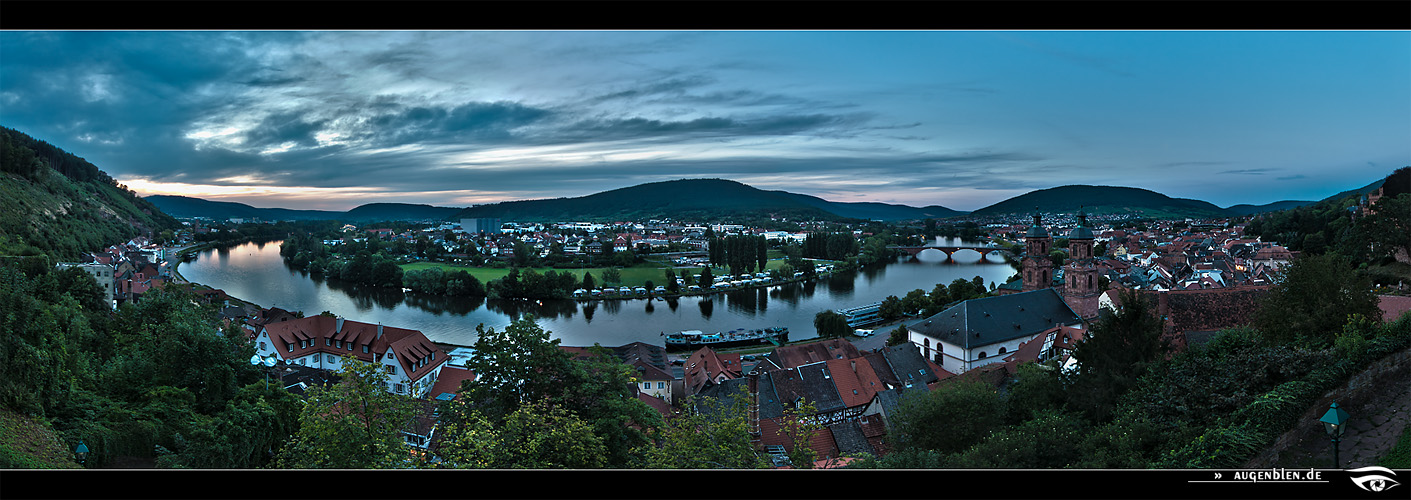 Blick von der Mildenburg