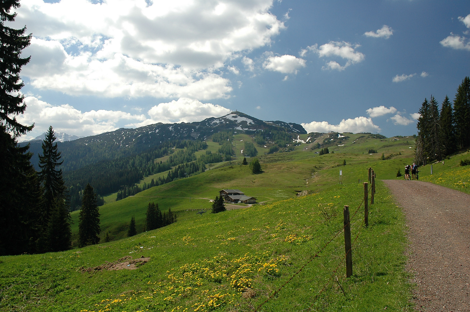 Blick von der Möser Alm zur Steinplatte