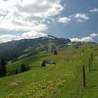 Blick von der Möser Alm zur Steinplatte