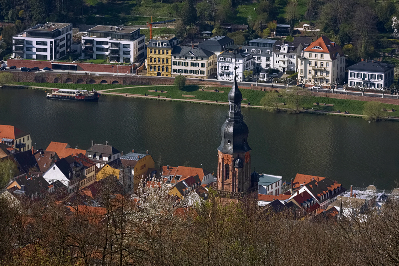 Blick von der Molkenkur auf Heidelberg