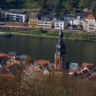 Blick von der Molkenkur auf Heidelberg