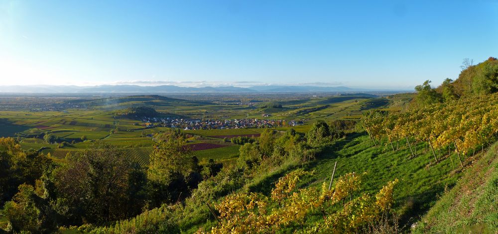 Blick von der Mondhalde am Kaiserstuhl