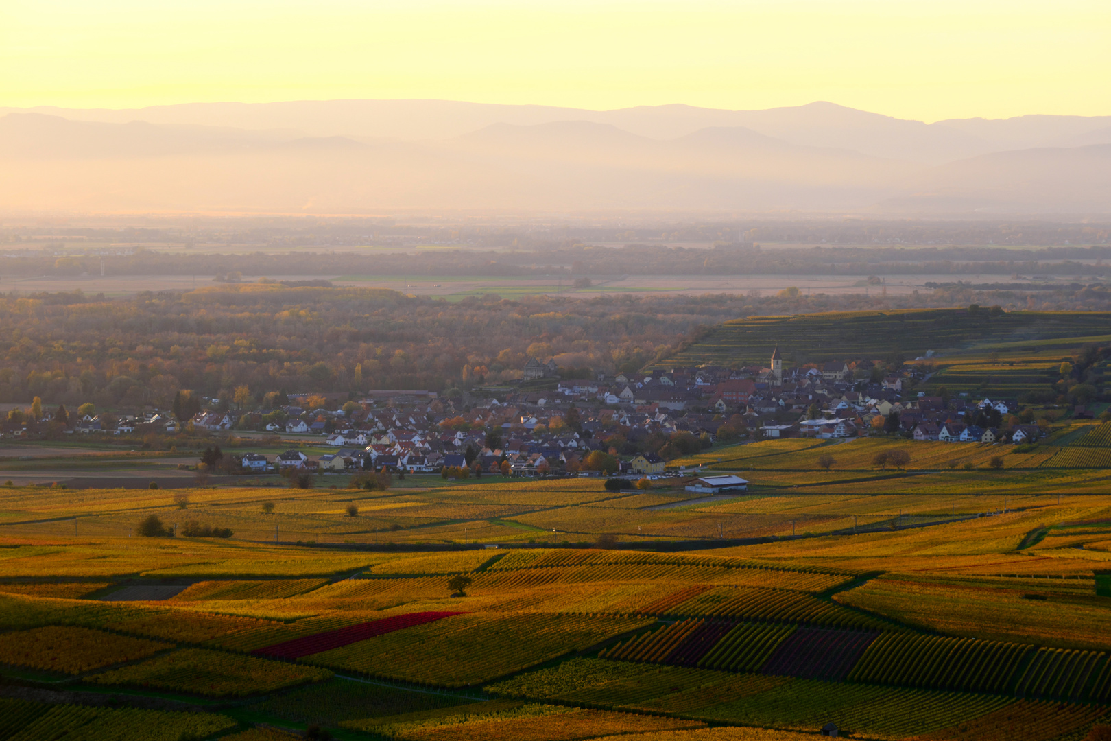 Blick von der Mondhalde auf Burkheim