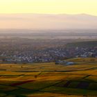 Blick von der Mondhalde auf Burkheim