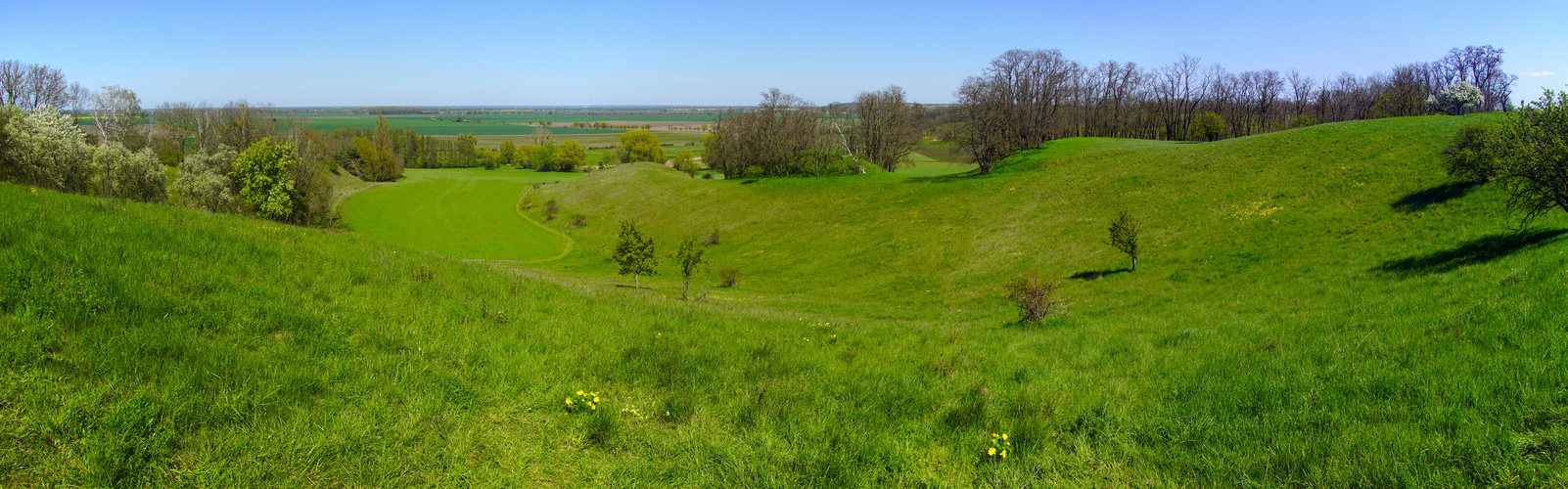 Blick von der Moräne über die Oderhänge ins Lebuser Land