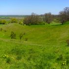 Blick von der Moräne über die Oderhänge ins Lebuser Land