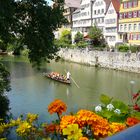 Blick von der Neckarbrücke 2