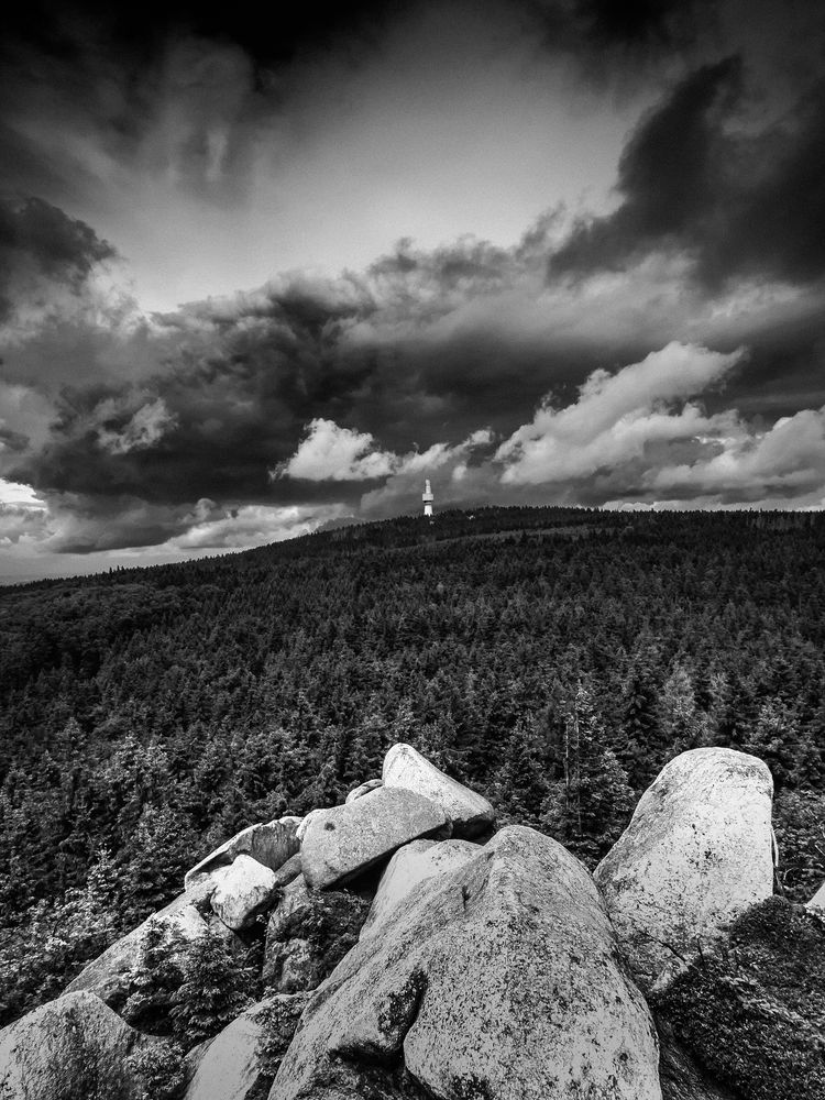 Blick von der Nußhardt auf den Schneeberg