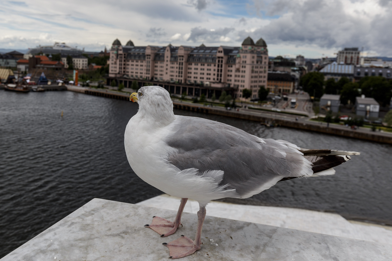 Blick von der Oper in Oslo