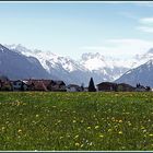 Blick von der Ortschaft Fischen auf die Berge