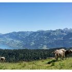 Blick von der Panoramastrasse in Giswil