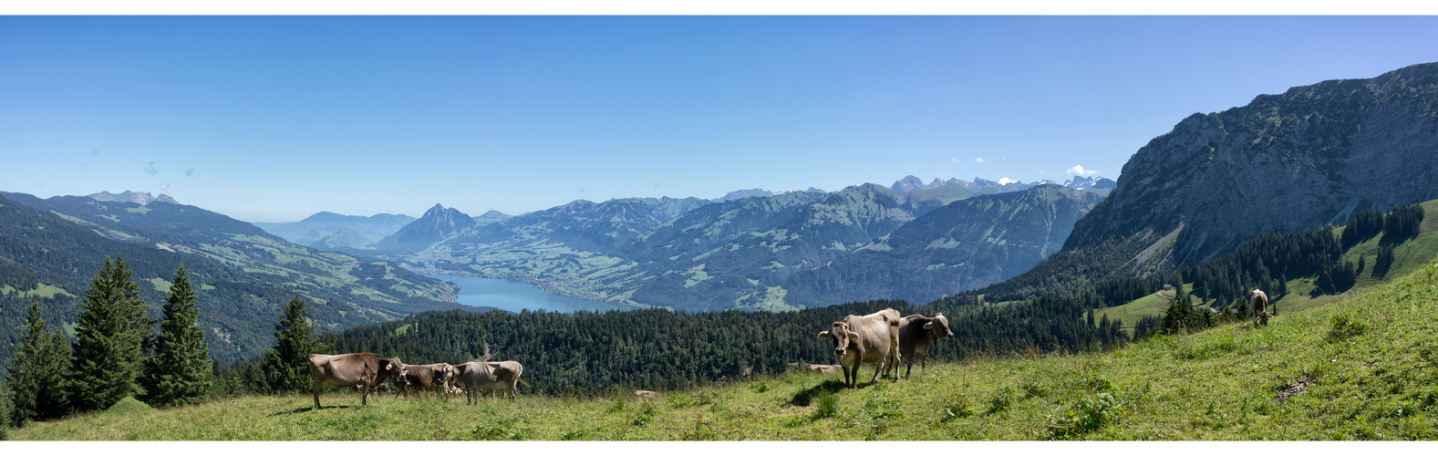 Blick von der Panoramastrasse in Giswil