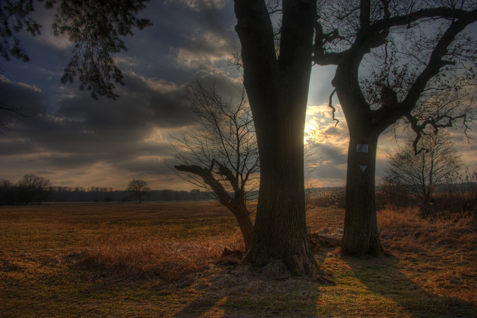 Blick von der Pausen - Bank