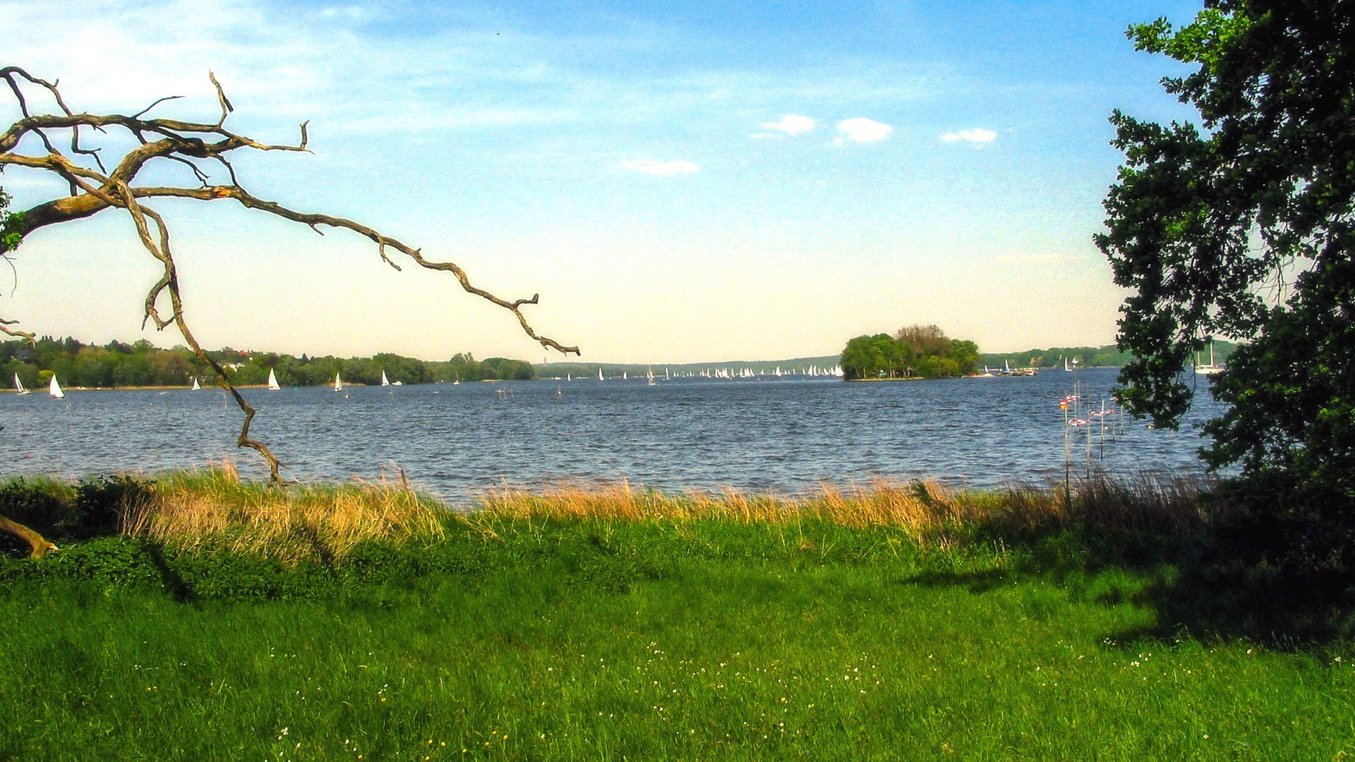 Blick von der Pfaueninsel auf den See.