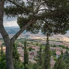 Blick von der Piazza Martiri della Libertà