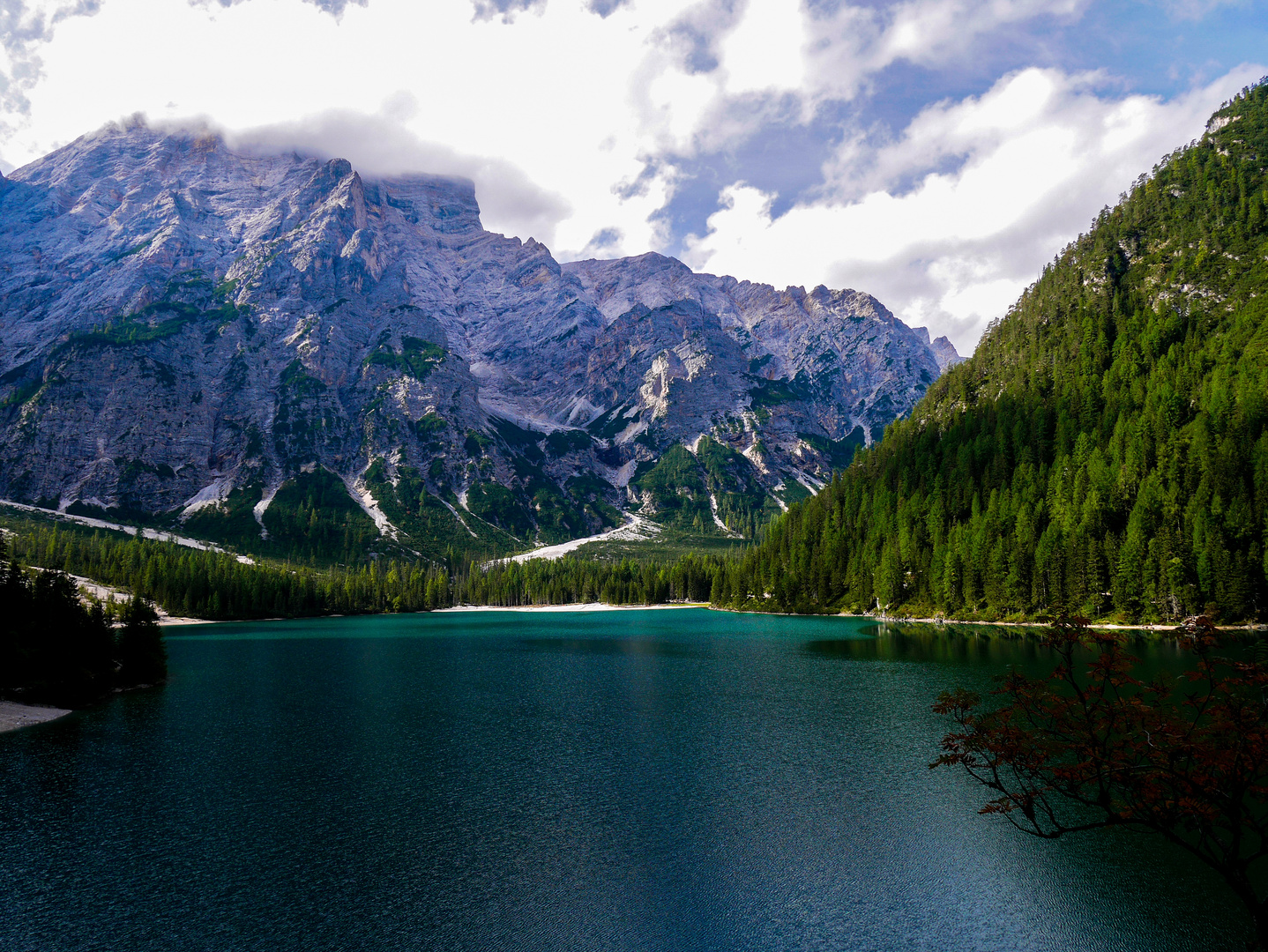 Blick von der Plätzwiese