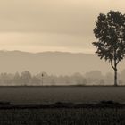 Blick von der Po-Ebene auf die Alpen