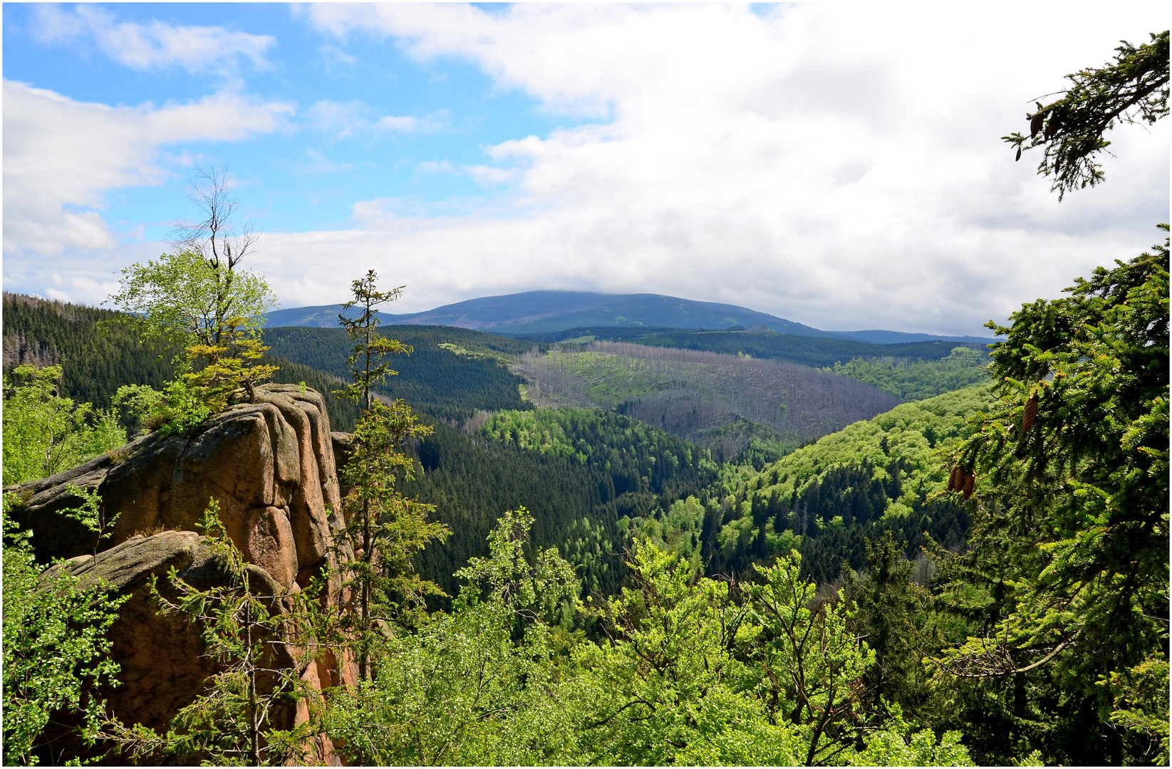 Blick von der Rabenklippe bei Bad Harzburg