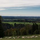 Blick von der Ratzinger Höhe 