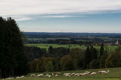 Blick von der Ratzinger Höhe 