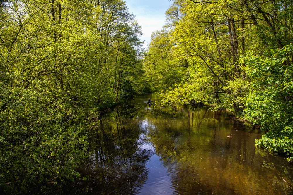 Blick von der Reiterbrücke