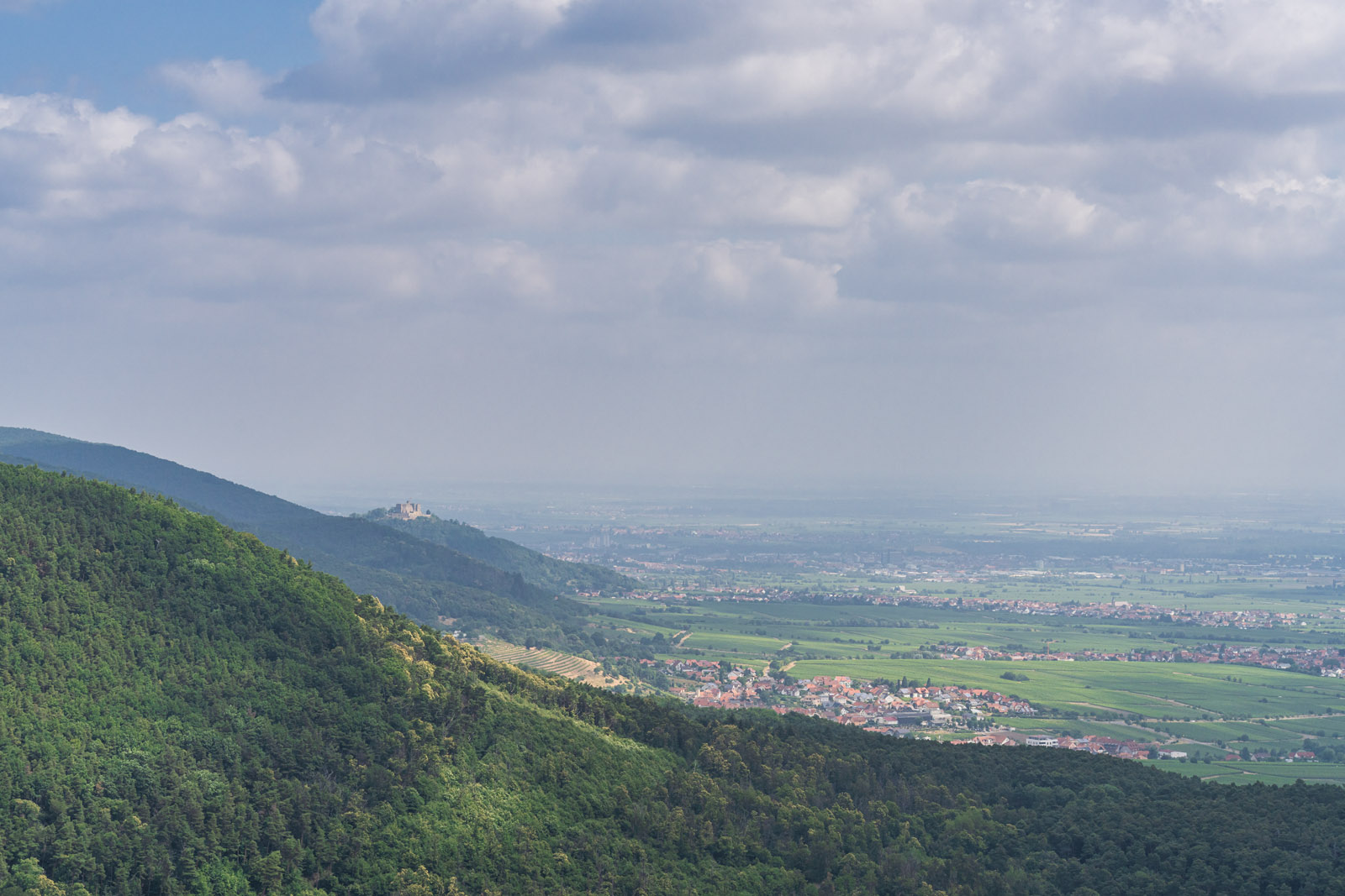 Blick von der Rietburg