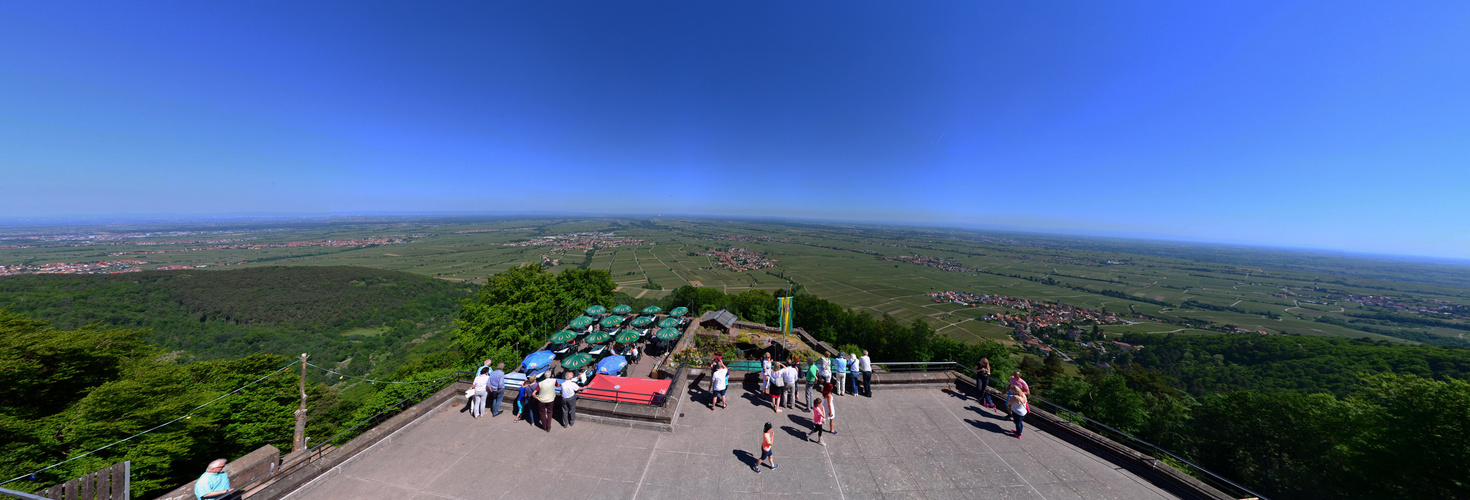 Blick von der Rietburg (W115)