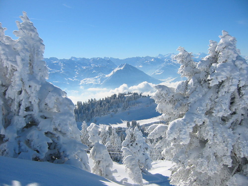 Blick von der Rigi in Richtung Berneralpen