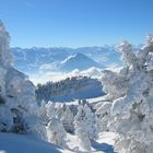 Blick von der Rigi in Richtung Berneralpen