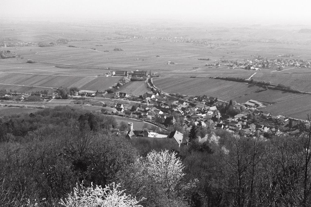 Blick von der Ruine Neukastel