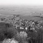 Blick von der Ruine Neukastel