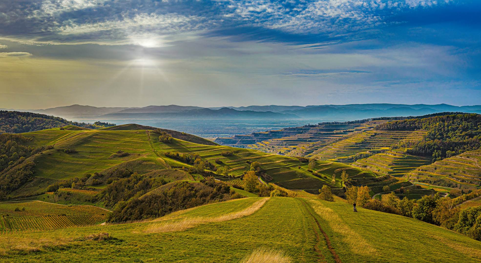 Blick von der Schelinger Höhe in Richtung Vogesen