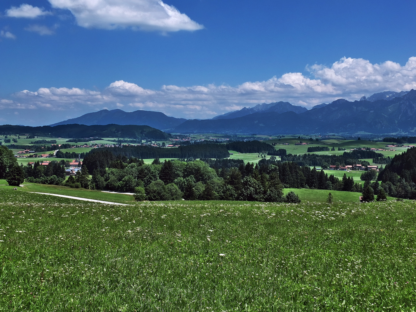 Blick von der Schloßbergalm in Richtung Füssen