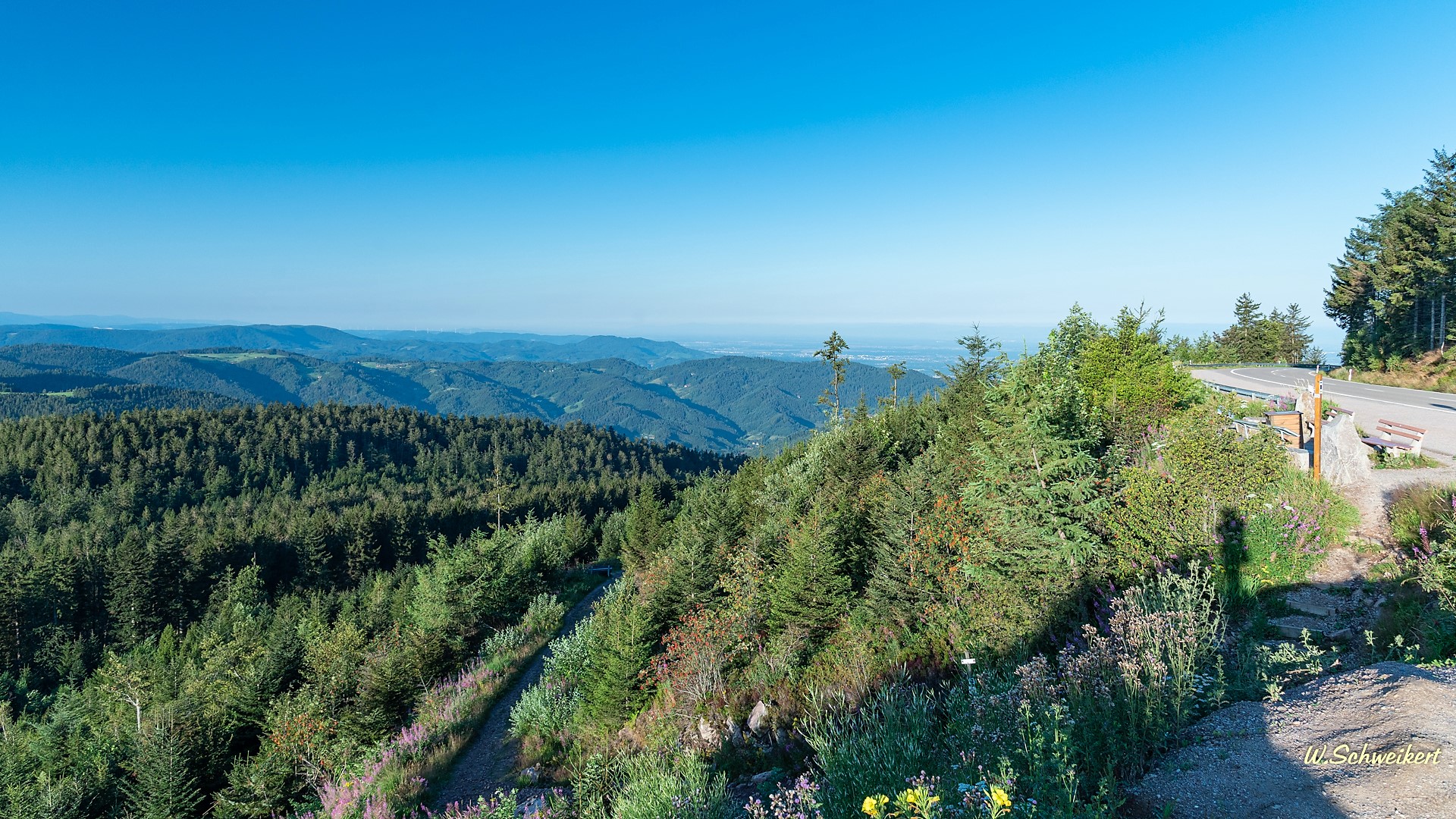 Blick von der Schwarzwald - Hochstraße