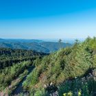 Blick von der Schwarzwald - Hochstraße