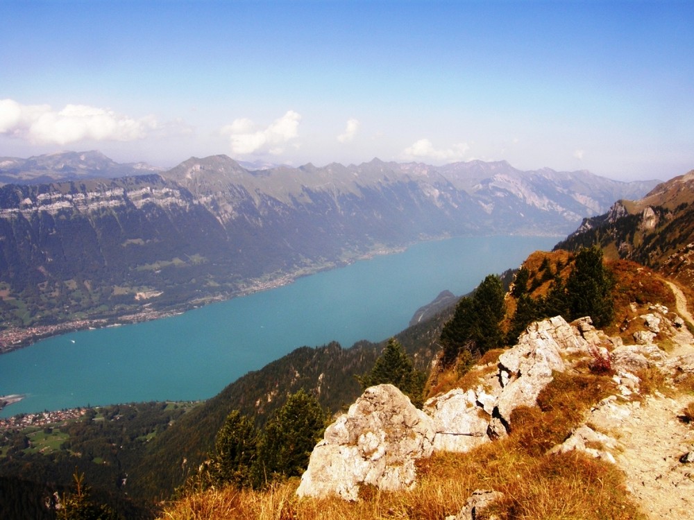 Blick von der Schynigen Platte auf den Brienzersee