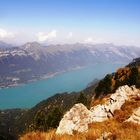 Blick von der Schynigen Platte auf den Brienzersee