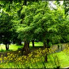 Blick von der Soester Wallmauer ...