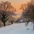 Blick von der Staatsbrücke bei -12 Grad