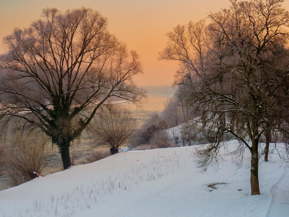 Blick von der Staatsbrücke bei -12 Grad