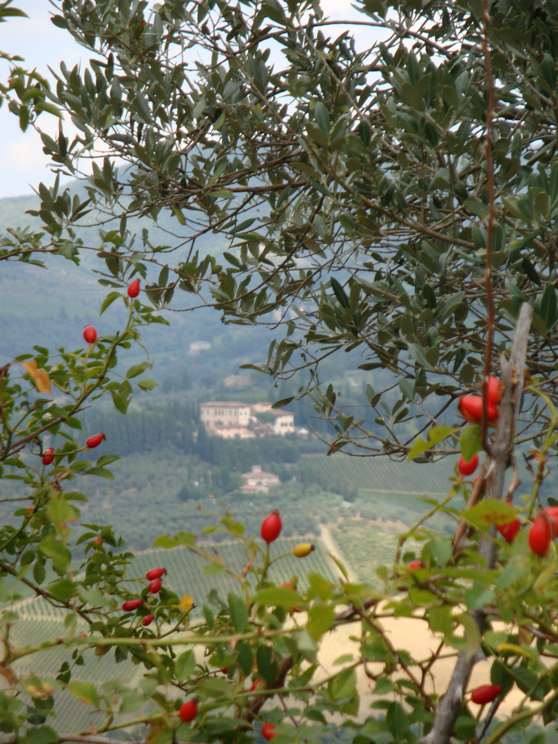 Blick von der Stadtmauer Volterra`s