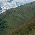 Blick von der Stilfser Alm auf den Ortler