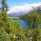 Blick von der Straße zum Julier über den Champfèrer See