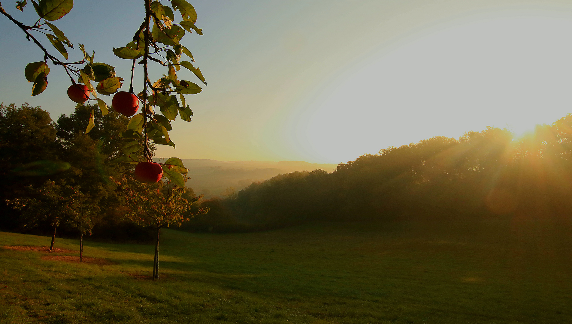 Blick von der Streuobstwiese