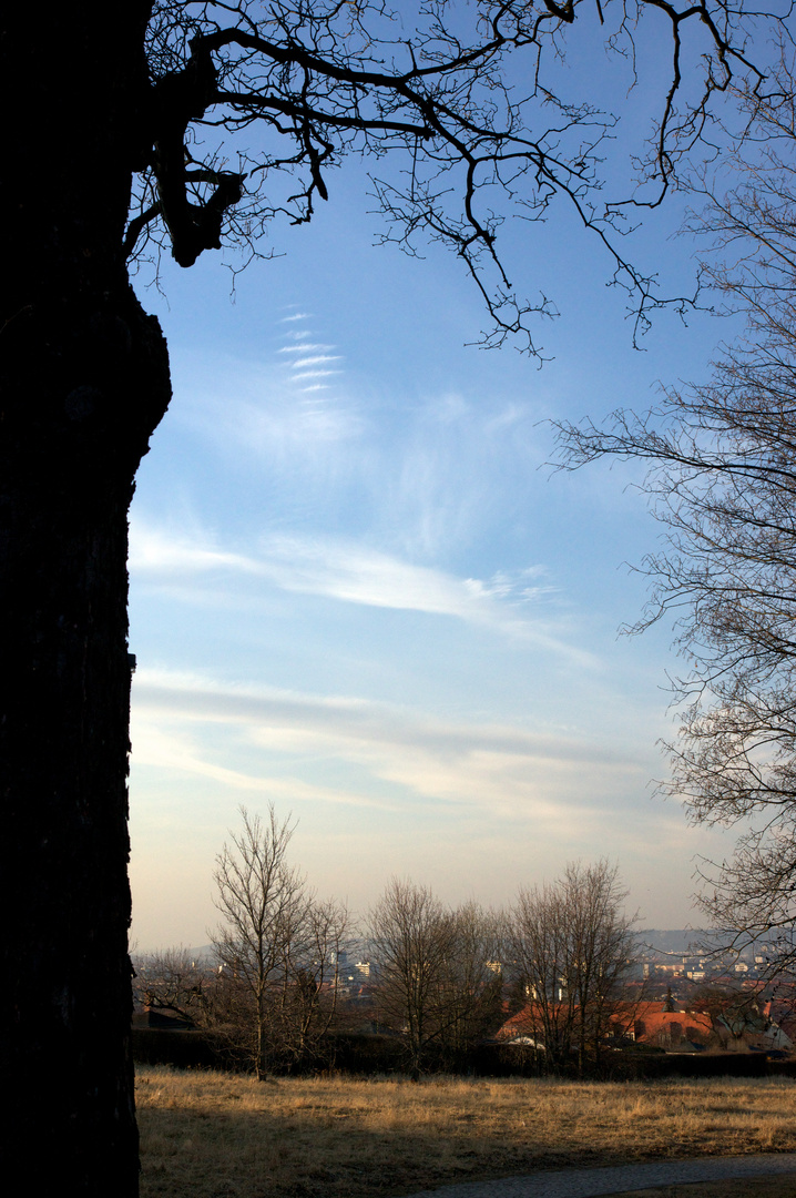 Blick von der Südhöhe auf die Dresdner City